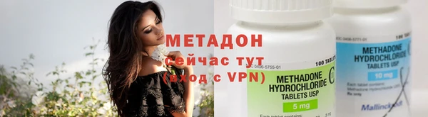 стаф Алзамай