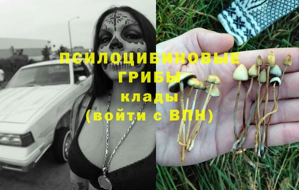 spice Арсеньев