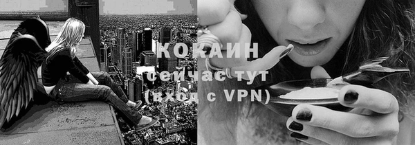 дмт Армянск