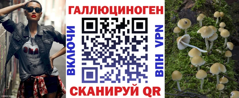 Псилоцибиновые грибы GOLDEN TEACHER  Купить закладки  Прохладный 